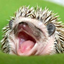geanbrk