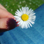 ideasvalerianas