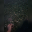 todoestara-bien