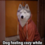 randomnessisalwaysinteresting