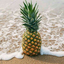 pineapplebytch