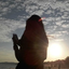 sugarangii-blog