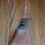 sacreblonde-blog