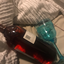aeiphn