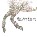 the-lime-equine