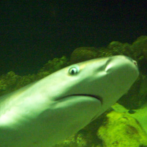 kriceratops:  spade-kind:  kriceratops:  spade-kind:  Mihi placet lingua latina.     thats disturbing p,fg   