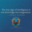 blueandbronzethunderbird