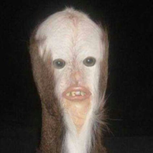 curioscurio: I wonder how the pizza place next door feels everytime I stumble in, wearing the same clothes I’ve worn for 3 days, unwashed hair, no makeup, looking dead inside, and ask for a calzone. I bet they’re like “ shit here comes the Calzone