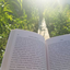 handsonmybooks-headintheclo-blog