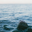 lelyasokolova-blog