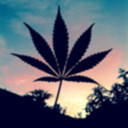 Stonerwith-A-Boner: Just Smoke It  