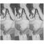 karolhernandez30-blog