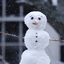 frostedfir