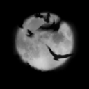 darkskyyy12 - 