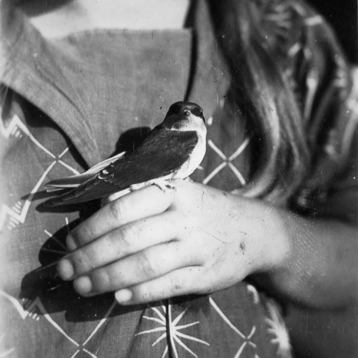 globalchristendom:  huntrad-chadcel:  A Hungarian in Transylvania, 1940. 