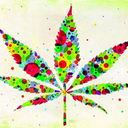 WeedPornDaily Tumblr