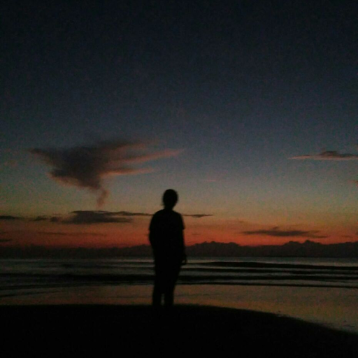 No creo que lo leas, pero amanecí queriéndote. 