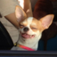 beefhellington