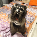 thatdastardlyraccoon:seriously, who says fuck like that? Dude forgot the U