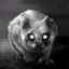 darknessallihave-blog