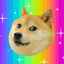 infinite-doges