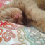 rogue-jellybeans