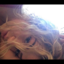 abigailmitchellxx