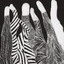 sunshinegirlnoise
