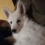 nooneknowso-o-blog1