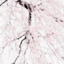 elela8910