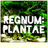 ○ Regnum: Plantæ ○  