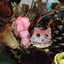 thebeecat
