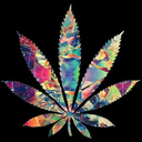 cannabissativaindicaruderalis avatar