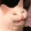 dannydevitoismydad