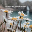 phiphi1604