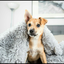 newish14-blog