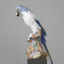 aimerlesoiseaux