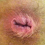nedaladin