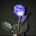 Ich hasse jedes Mädchen mit dem du schreibst, von dem du Bilder likst, mit der du