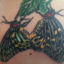 matingbflies-blog