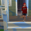 springbunnysim