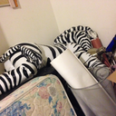 inflatablezebras avatar