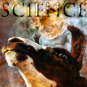 the-science-llama:  How Brains See MovementResearchers