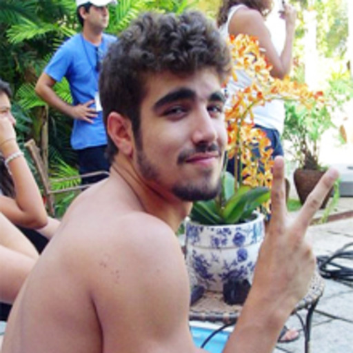 mel e girassóis