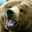 the-gaming-bear-blog