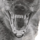 hyenavoice avatar