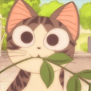 chi-really-hates-terfs:I love all my trans friends rb if u also love ur trans friends