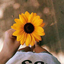 umm-lugar-ao-sol
