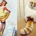 (c) Catsthatlooklikepinupgirls.tumblr.com