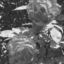 samxiraaa-blog